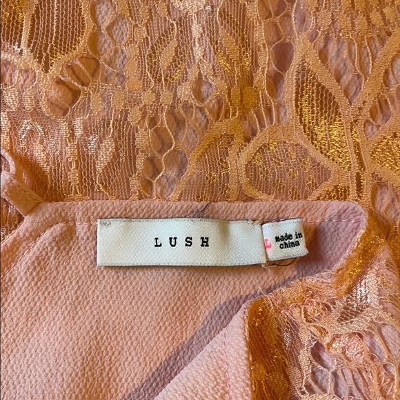 LUSH Lace Dress - Picture 8 of 8